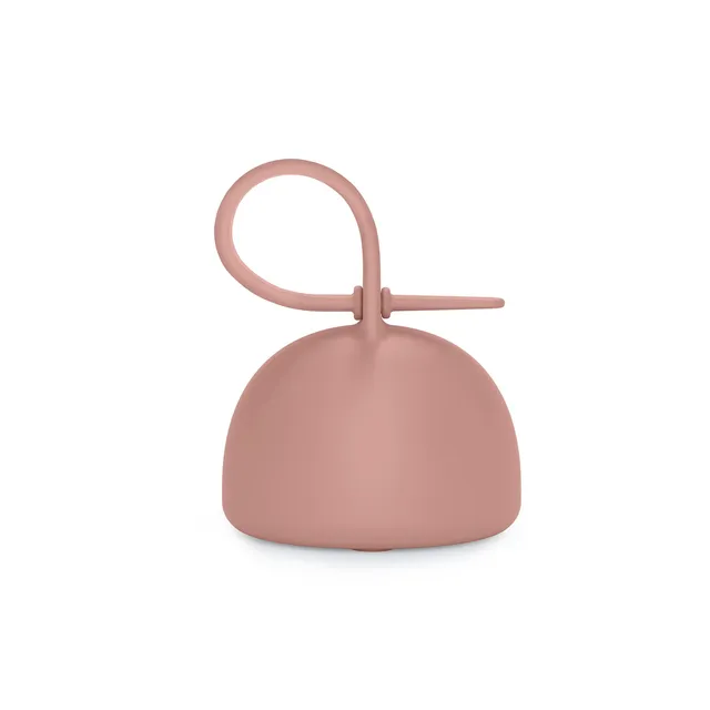 suavinex-portachupetes-de-silicona-flexible-colour-essence-nude-para-2-chupetes- image 1