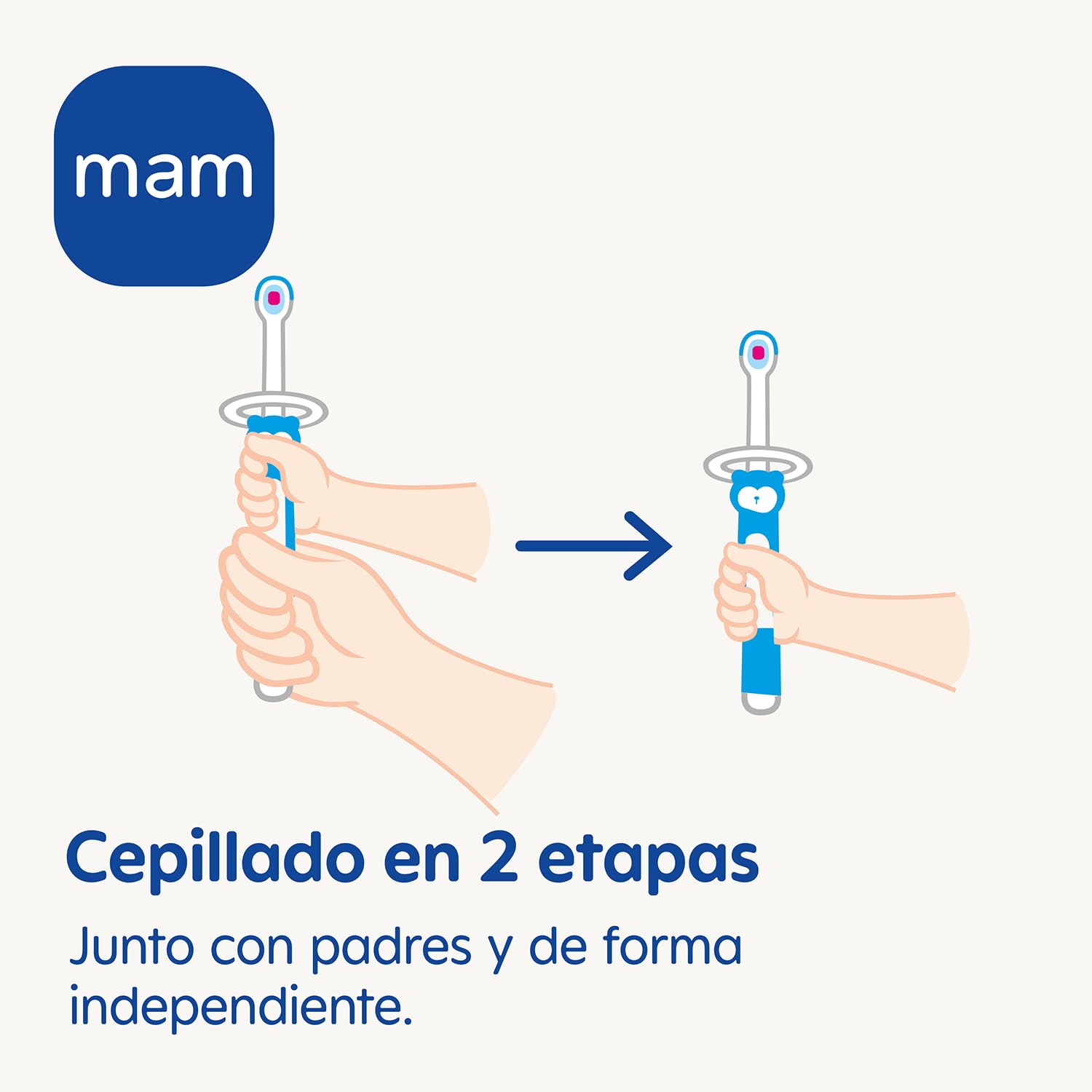 mam-set-de-cepillos-de-dientes-de-aprendizaje-beb-2-uds-extra-largo-y-corto-con- image 3