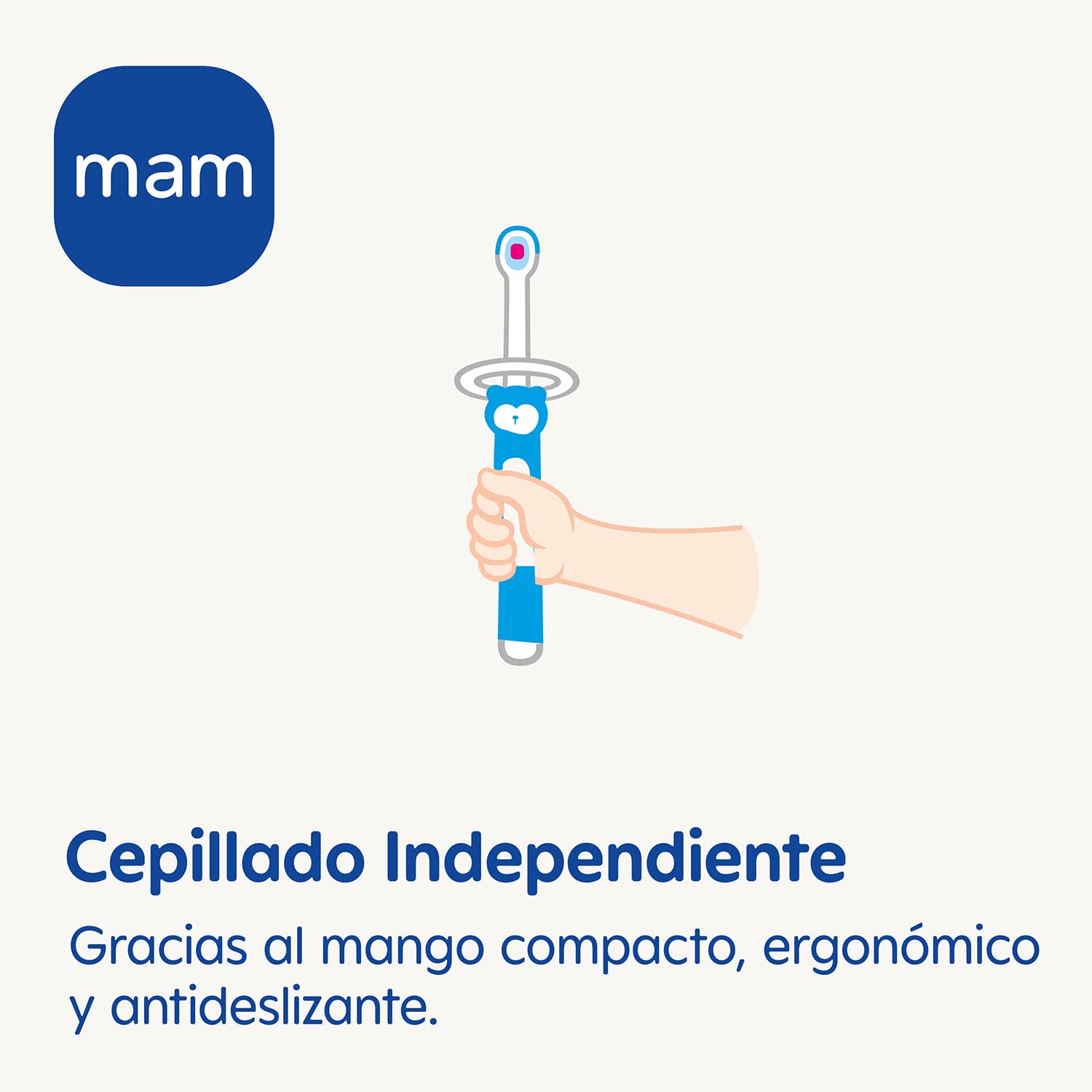 mam-set-2-cepillos-de-dientes-para-beb-con-mango-compacto-ergon-mico-y-antidesli image 3