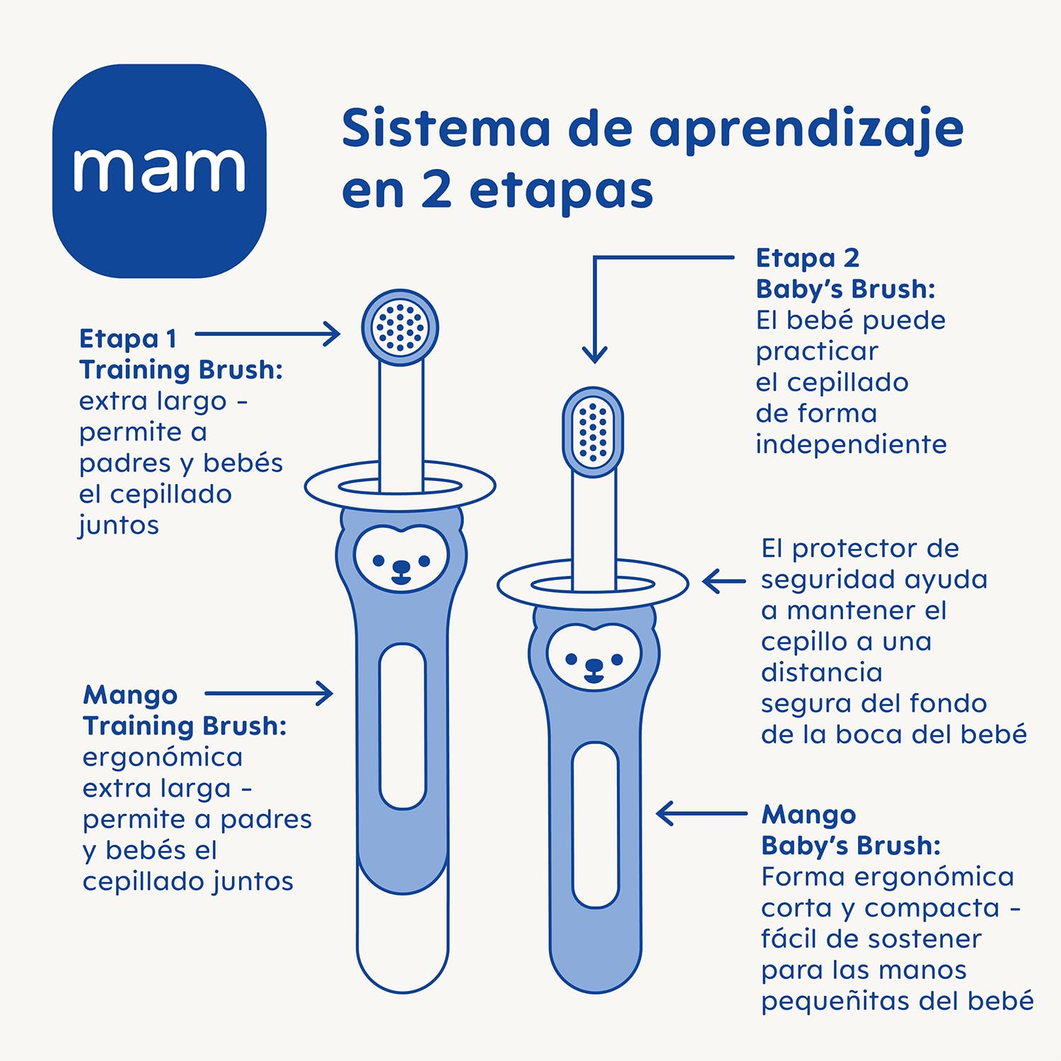 mam-set-de-cepillos-de-dientes-de-aprendizaje-beb-2-uds-extra-largo-y-corto-con- image 2