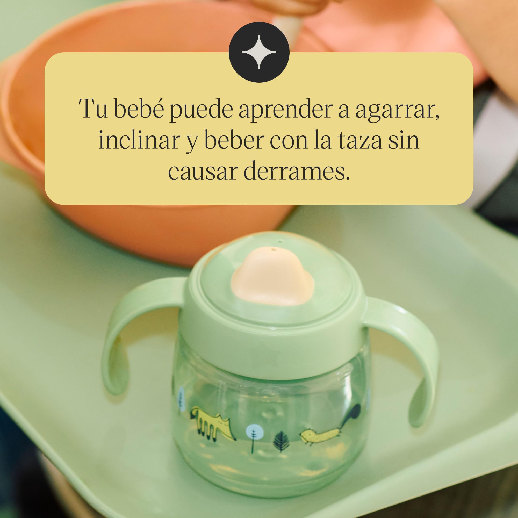 tommee-tippee-first-tastes-juego-de-destete-completo-4-meses-cuencos-easi-scoop- image 7