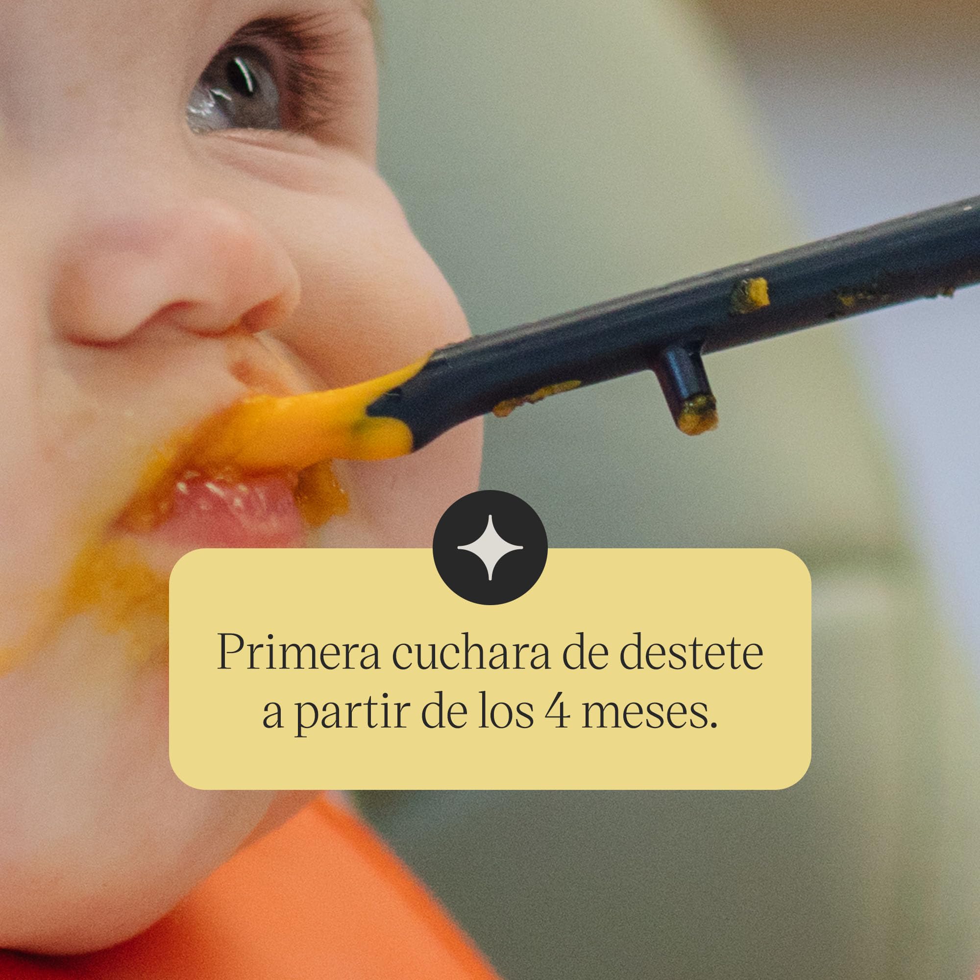 tommee-tippee-cucharas-de-destete-termosensibles-pack-de-4-con-cambio-de-color-p image 7