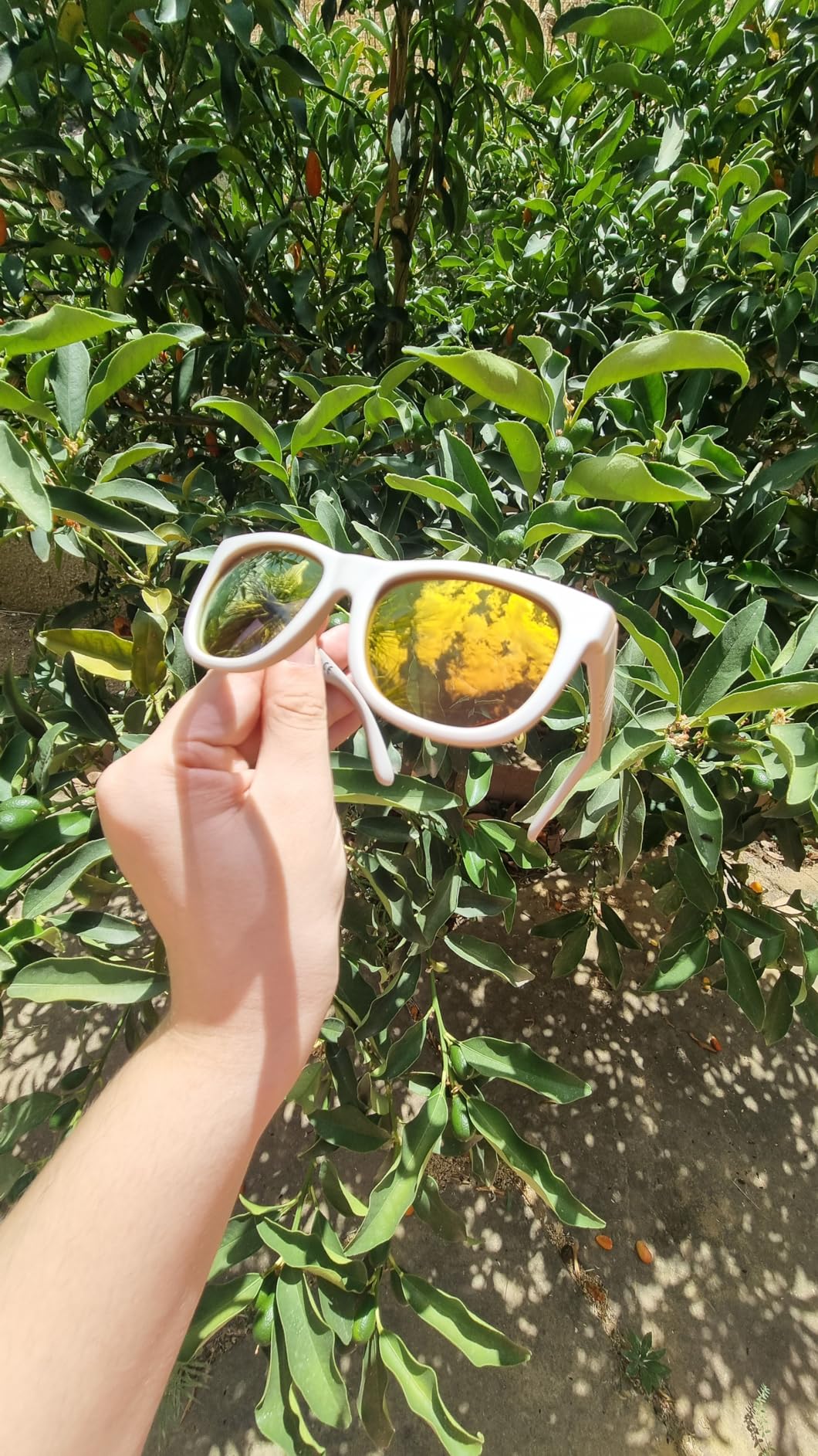 Regalo que arrasó