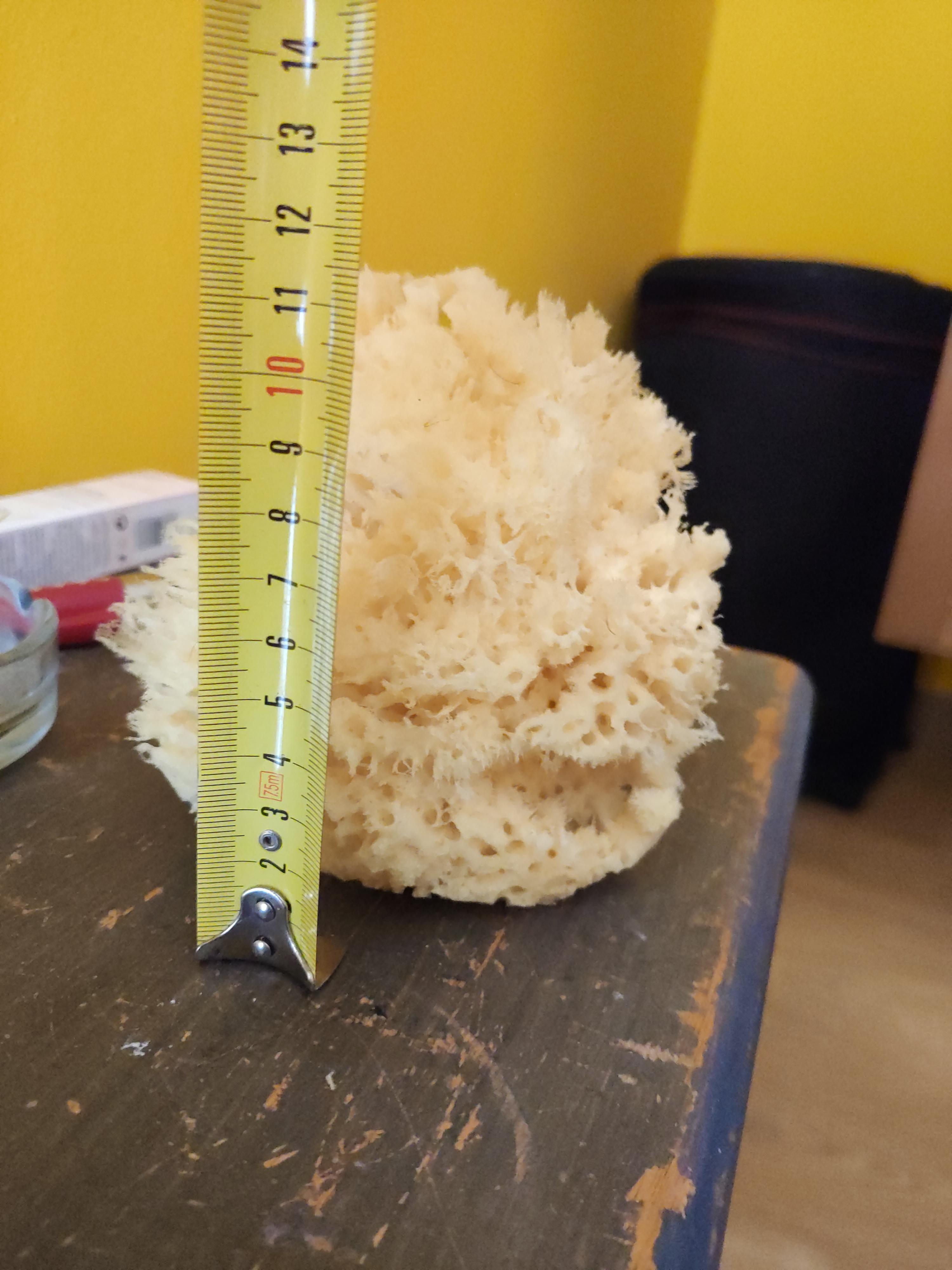 Suavecita y muy absorbente